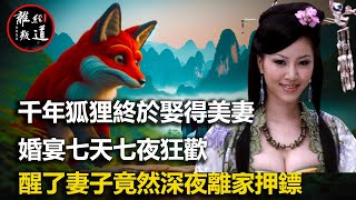 民間故事：千年光棍狐狸終於娶得美妻，婚宴七天七夜狂歡，醒了妻子竟然深夜離家押鏢，背後藏著什麼秘密？