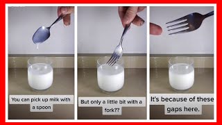 WHY CAN'T YOU PICK UP MILK WITH A FORK  / Trending Tik Tok videos, Challenges, Funny TIKTOK clips