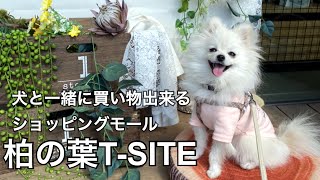 【柏の葉T-SITE】Vlog/おしゃれすぎるショッピングモールで犬と一緒に買い物/kasiwanoha T-SITE