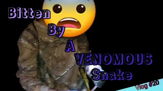 T\u0026T Nature Vlog #20: Venomous Snake Bite? #trinidadandtobago #wildlife #reptile #animals