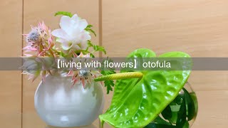 Flower maintenance / Fashionable arrangement of short flowers / Anthurium / Curcuma / Serruria rose