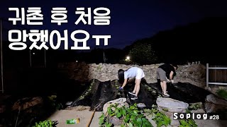 곶감.. 배추.. 김장 못할 뻔 했어요 | 기후 위기를 온몸으로 느낀 올해의 김장 | 겨울 시골 텃밭 마감