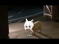 fubuki white fox friend animal hololive