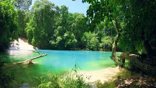 Cascadas Roberto Barrios, Chiapas