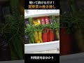 【焼いて漬けるだけ！】ヘルシー夏野菜の焼き浸しの作り方 夏野菜 簡単レシピ shorts