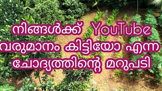 നിങ്ങൾക്ക് YouTube വരുമാനം കിട്ടിയോ എന്ന ചോദ്യത്തിന്റെ മറുപടി