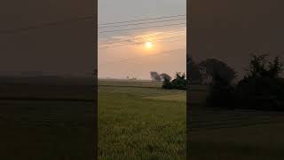 সকালের মনোরম পরিবেশ।। #video #viral #youtubeshorts #beautifulseen#morningview#bengalistatus