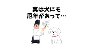 犬にも厄年があるって本当！？