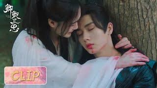 Clip | Pei Xun was poisoned to save Liu Yueqing | [The Deliberations of Love 卿卿三思]