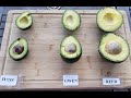 Blind Taste Testing of Different Avocado Varieties.  REED AVOCADO vs. GWEN AVOCADO vs. HASS AVOCADO.