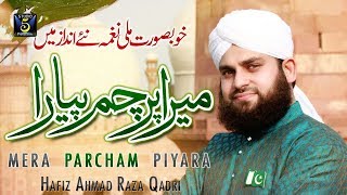Milli Naghma Pakistan | Hafiz Ahmed Raza Qadri Naats | Mera Parcham Pyara | Studio5