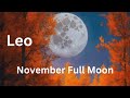 Leo, Final Supermoon of 2024 // November 15/16 Full Moon