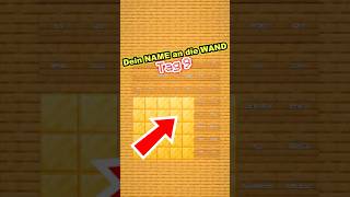 Ich schreibe DEINEN NAMEN an die Wand PT.9 #foryou #foryoupage #viral #gaming #shorts