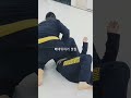 배대뒤치기 맛집 tomoe nage bjj jiujitsu 주짓수 judo 유도