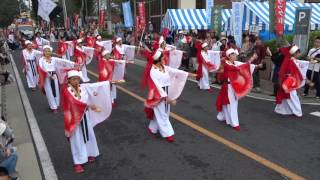 壱夢 『火の鳥～明日へ～』／元町会場／第16回 坂戸よさこい2016（初日）