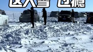 全部趴窝这大雪过瘾！ 雪地里撒欢 雪地穿越 冬天来一场雪地穿越旅行 呼伦贝尔飞飞 小年快乐