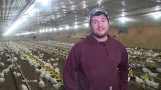 Buckingham County Agricultural Close-up