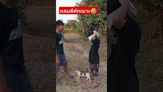 หลบดีคักเนาะ🤣 #คลายเครียด #คลิปตลกฮา #ขำขันเฮฮา #funny #family #haha #happythai ##shorts