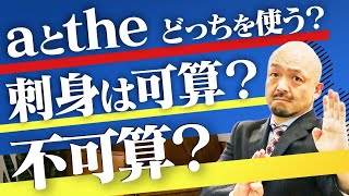 【丸暗記なし】可算名詞と不可算名詞の見分け方とは？英文法の鬼が徹底解説【違い】