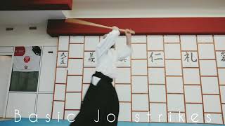 Fudoshin Dojo-Jo Basic Suburi