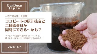 【実験】ココピートの灰汁抜きと二価鉄資材が同時にできる…かも？【タンニン鉄】