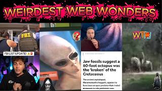 WEIRDEST WEB WONDERS VOL 166