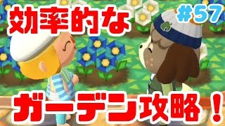 【ポケ森】ケントのガーデンイベント！効率的な進め方！＃57【どうぶつの森ポケットキャンプ 女性実況】