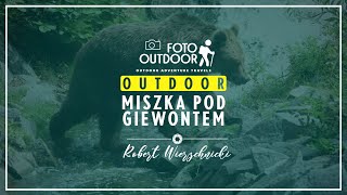 Niedźwiedź pod Giewontem