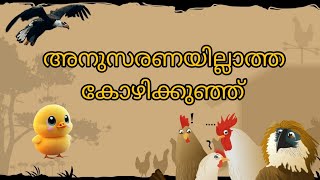 അനുസരണയില്ലാത്ത കോഴിക്കുഞ്ഞ് | malayalam stories @MeowsRiddlesWorld #malayalamstory #storytelling