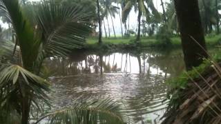 West Godavari Valluru Village