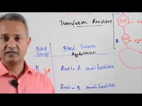 What happened when the blood Agglutinated?