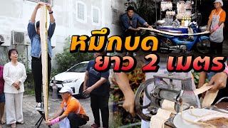 หมึกบดยาว 2 เมตร | ไทยทึ่ง WOW! THAILAND