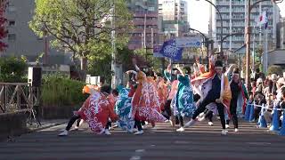 富士見町内会武蔵（武州武蔵）・パレード②＠2024　おやちゃい村～収穫祭～