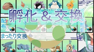 【０時まで早打ち交換会】夢タツベイ.ストライク.夢ウリムー.ロトム.カビゴン.夢アチャモ.夢フカマル.ダンバル.夢ミニリュウ.夢キノココ.ラルトス.夢イーブイ.コイキング.ヒンバス.ドーブル