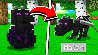 How to hatch ender dragon egg 100%