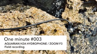 One minute #003 / AQUARIAN H2A HYDROPHONE and ZOOM F3