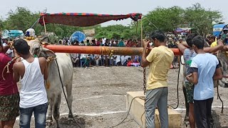 గోపవరం న్యూ క్యాటగిరి జత 4