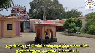 அருள்மிகு ஶ்ரீ செம்மேனிநாதர் திருக்கோயில், திருக்கானூர், தஞ்சாவூர் மாவட்டம்.