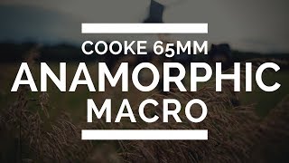 Cooke 65mm Macro Anamorphic Lens | Test