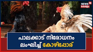 Kerala News | Pongalനോട് അനുബന്ധിച്ച് Palakkad Chitturൽ നിരോധനം ലംഘിച്ച് കോഴിപ്പോര് | Malayalam News