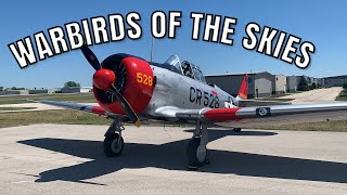 Warbirds of the Skies