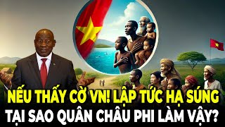 Phiến Quân Nam Sudan Máu Lạnh Ngừng Bắn Khi Gặp VN | LHQ Phải Nhờ Lính Việt Nam Đi Cùng Ở Châu Phi