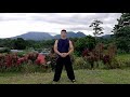 si duan gong 4 cycles qigong