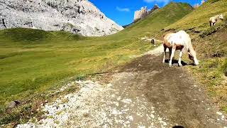 MTB da Canazei giro del Sasso Piatto attraverso la Val Duron