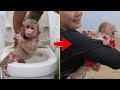 Little monkey David and the process of self development