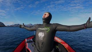 Frivannsliv in Nyksund - Salvimar Spearfishing in arctic water