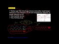 Kelas Pengkondisi Sinyal - High Pass Filter (Part 1)