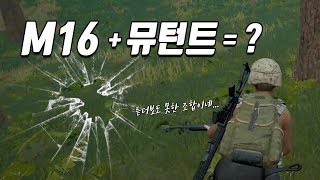 사녹에서 희대의 똥총 M16과 아무도 안 쓰는 뮤턴트 조합했더니?