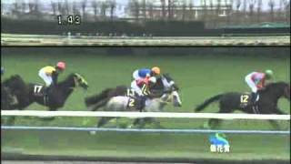 2010/10/24 京都11R 菊花賞（G1） ビッグウィーク