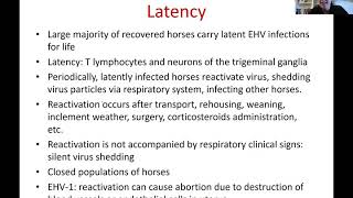 equine herpesvirus type 1 and 4